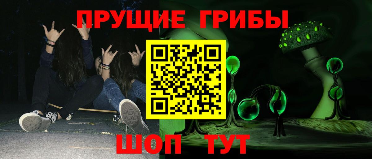 что такое   Псилоцибиновые грибы Cubensis  Вход с VPN  Псилоцибиновые грибы прущие грибы  Саянск 